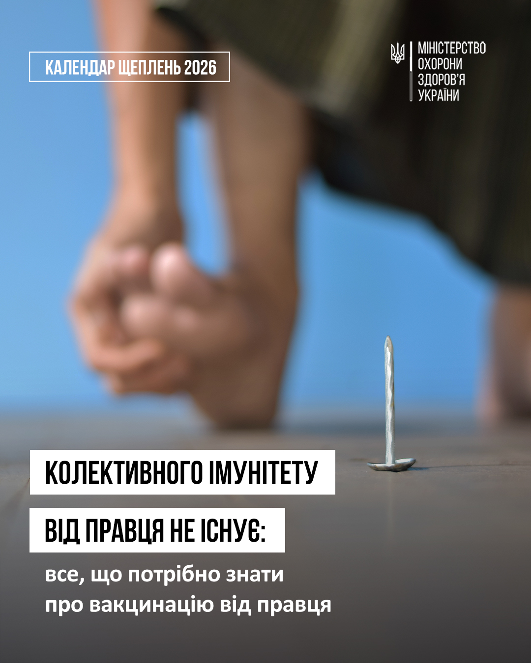 На сайт щеплення (4)
