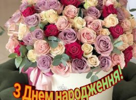 54g6e13 736x800