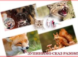 на сайт сказ