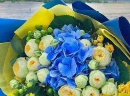 зображення Viber 2025 11 10 08 35 12 256