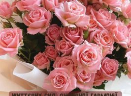 зображення Viber 2025 12 29 09 22 56 381