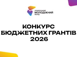 Бюджетні гранти на сайт