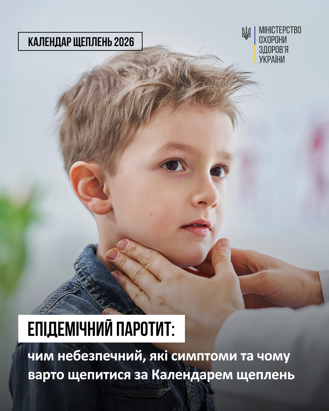 На сайт щеплення (3)