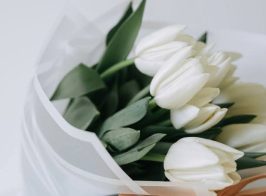 зображення Viber 2026 03 02 09 29 27 556