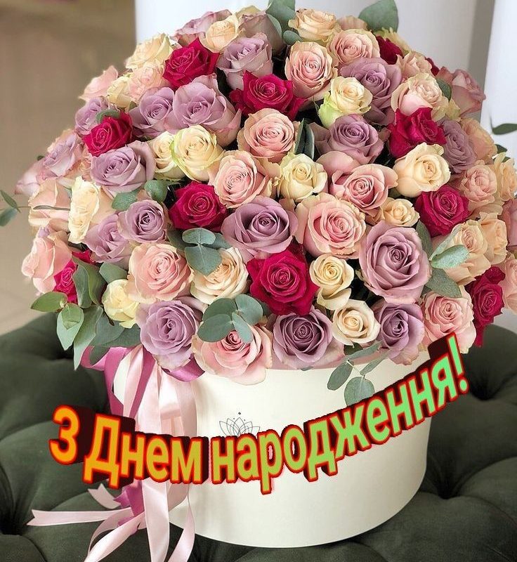 54g6e13 736x800