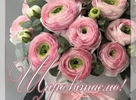 зображення Viber 2026 07 09 11 47 54 646