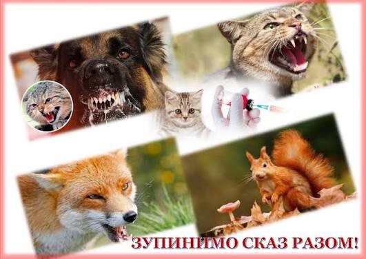 на сайт сказ
